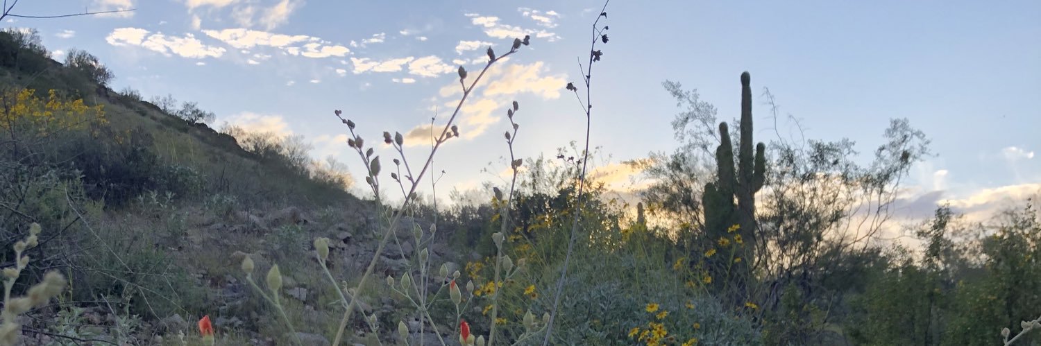 kaykarlin's profile banner image