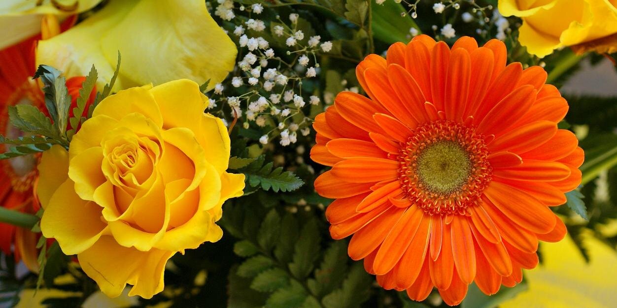 GujQuote's profile banner image