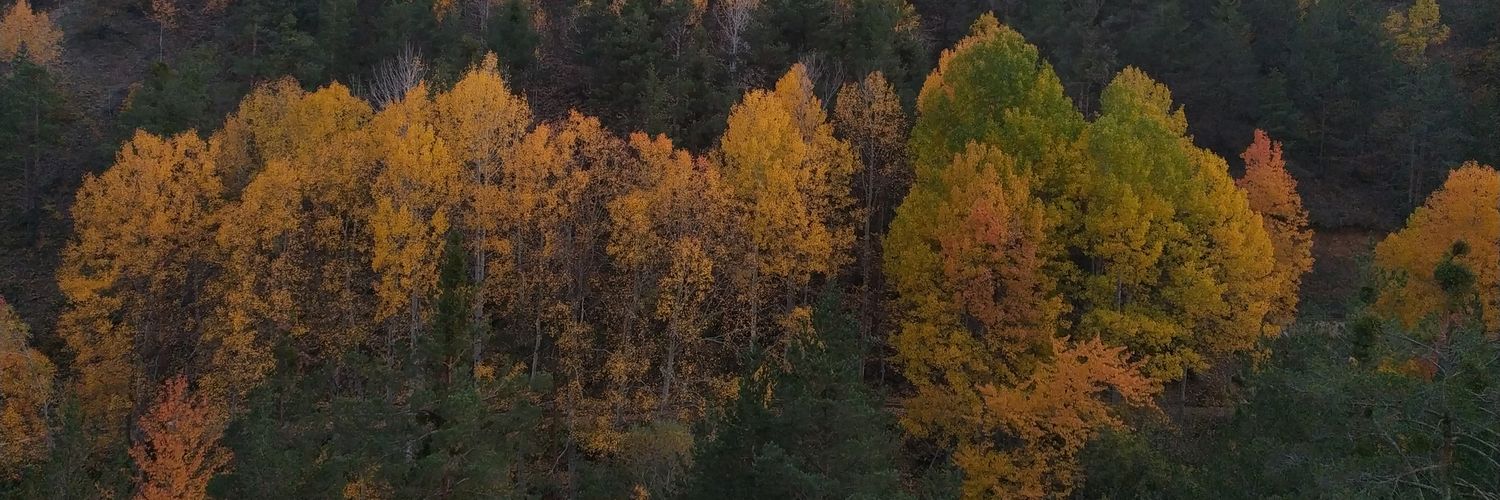 oftkcbyk's profile banner image