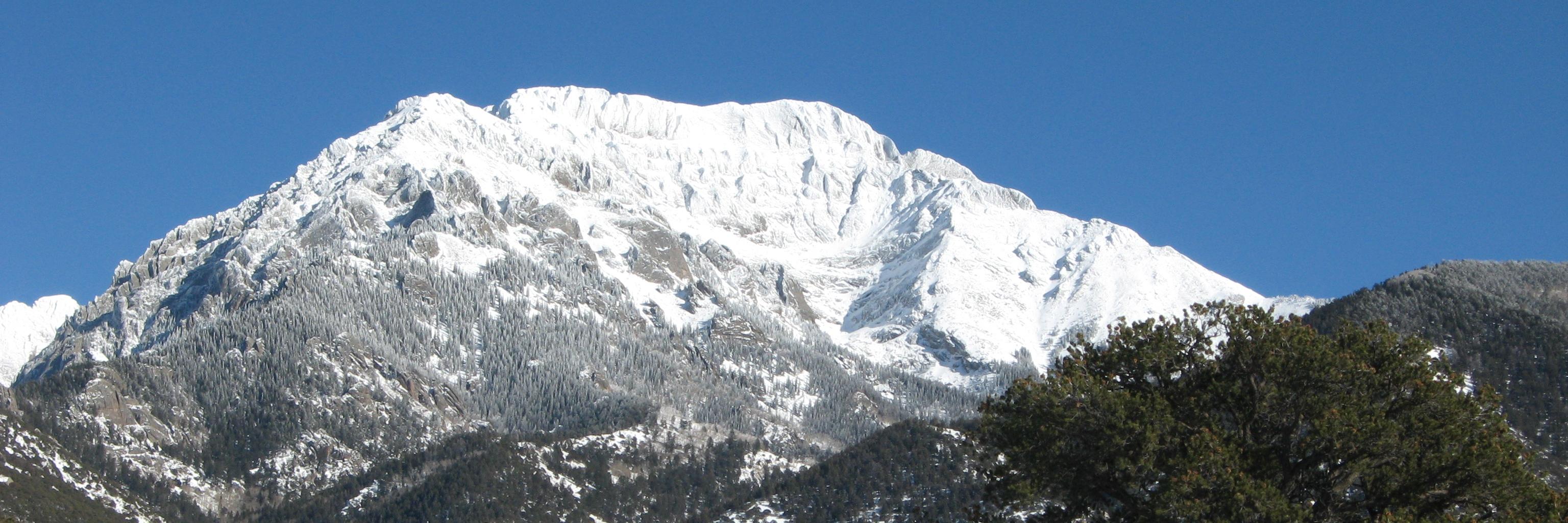 Kim Chiarello banner
