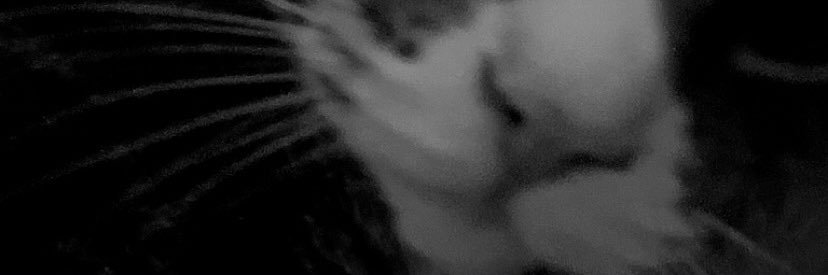 PreevoBaby's profile banner image