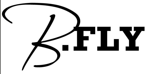 B.Fly banner