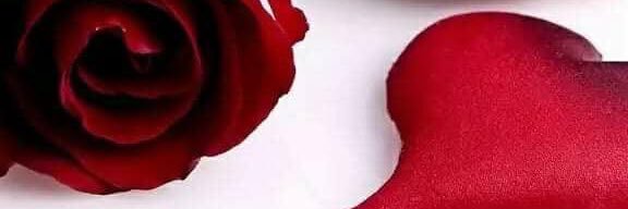 SonBeritli's profile banner image