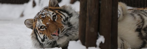 akke1205 Profile Banner