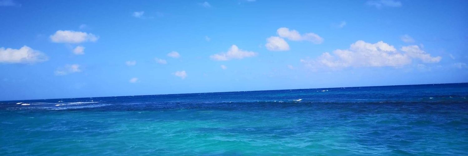 AshleyMayhew's profile banner image