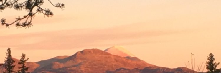 supernilsern's profile banner image