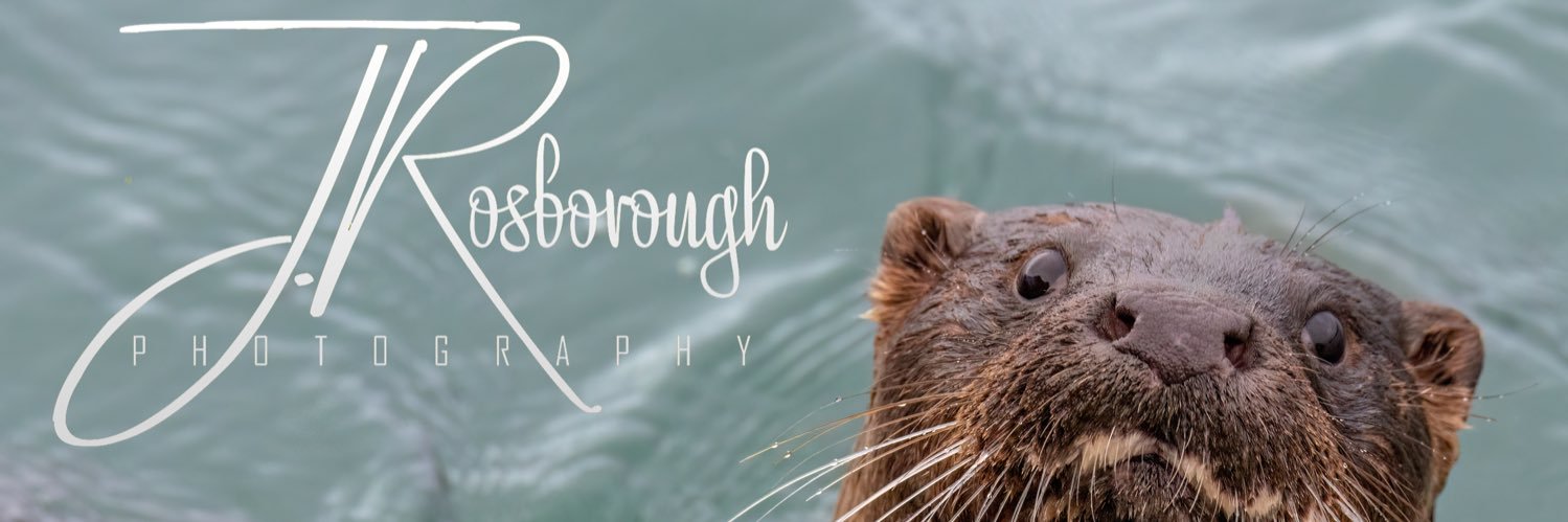 Jonathan Rosborough Photography banner