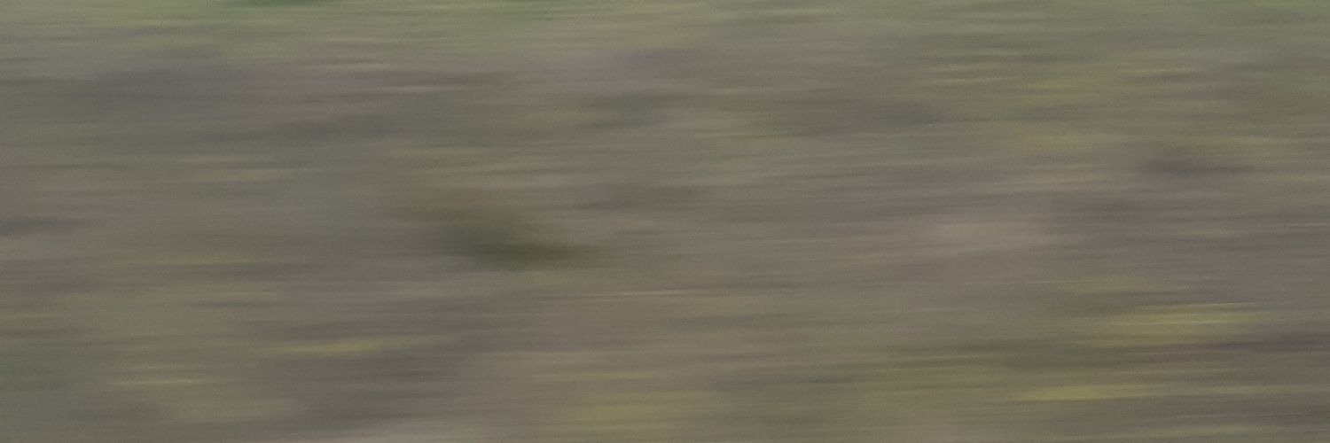 emgire's profile banner image