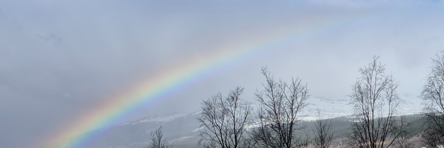 FVangelius's profile banner image