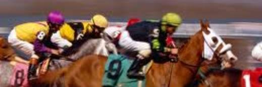 AlertaHipismo's profile banner image