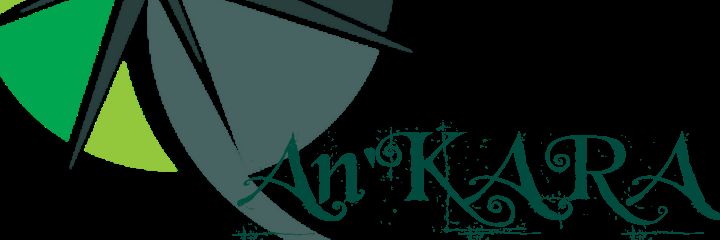 volaedo's profile banner image