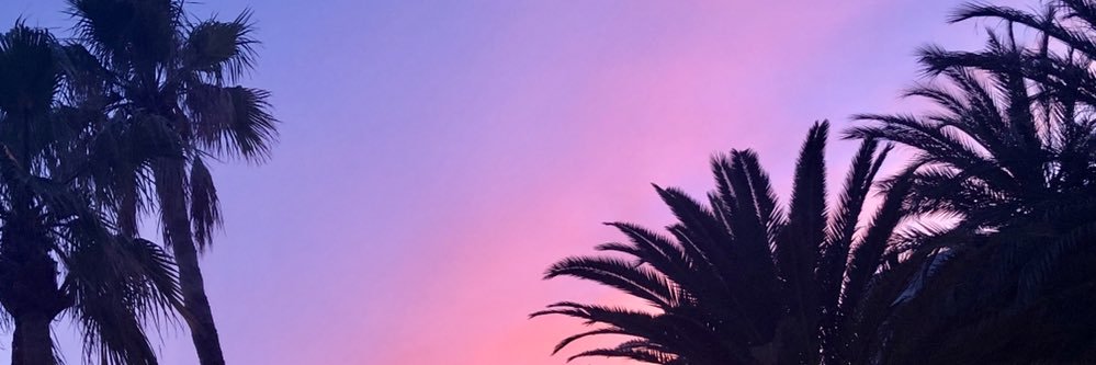 miss_dutton's profile banner image