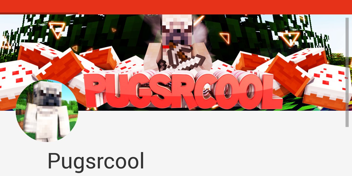 ThePugsrcool's profile banner image