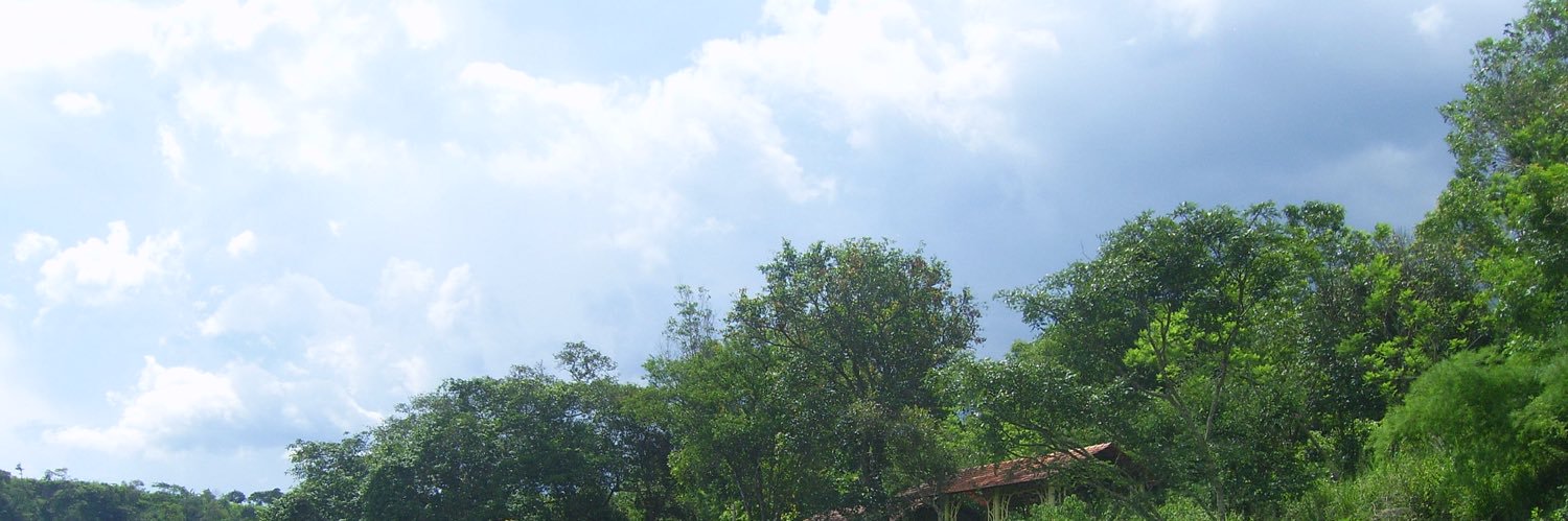 rowanbvn's profile banner image