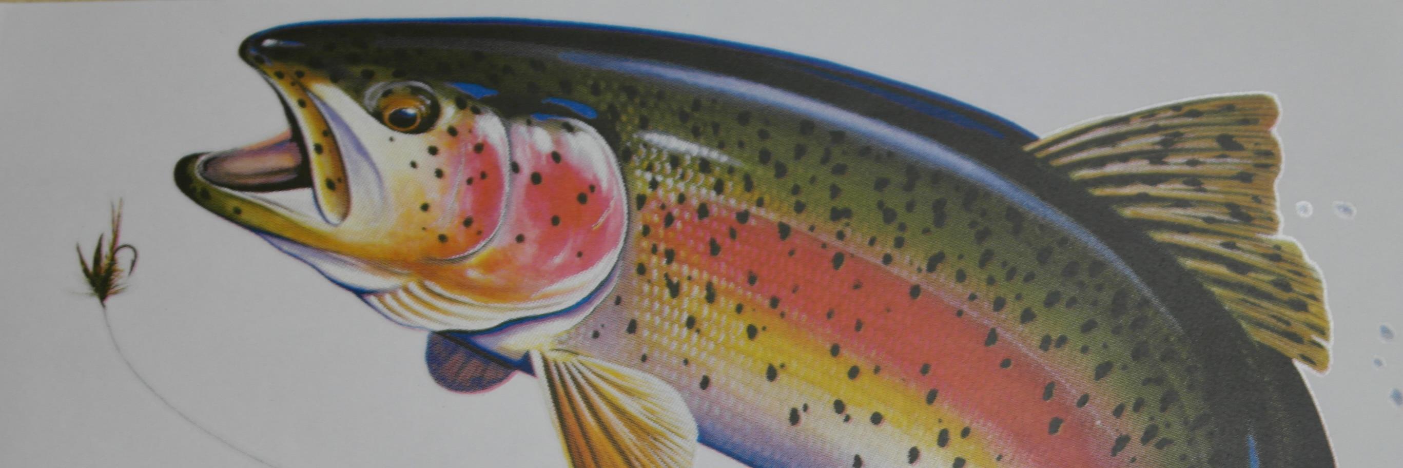 HookFishUK's profile banner image