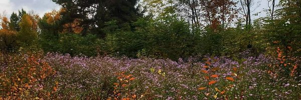 TetySt Profile Banner