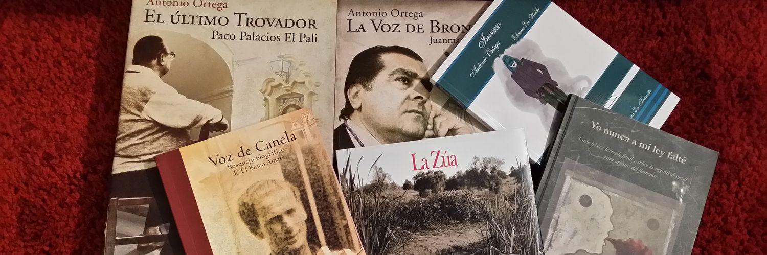 aortegarubio's profile banner image