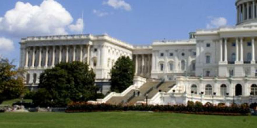 SenateoftheUSF's profile banner image