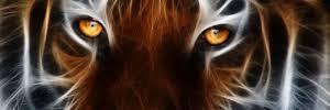 tay405RTMS17's profile banner image