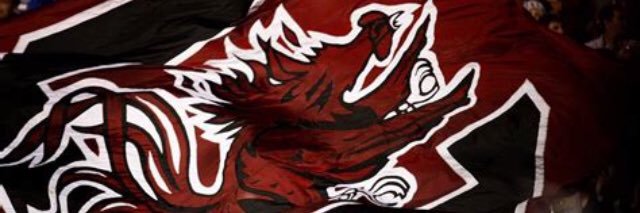 Professor_Pitts's profile banner image