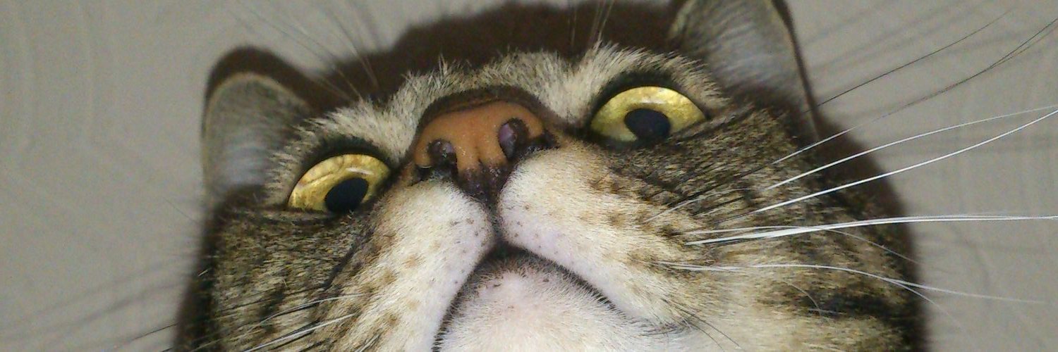 nob_ray's profile banner image