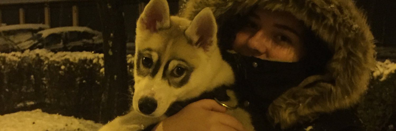 NaadrojViking's profile banner image