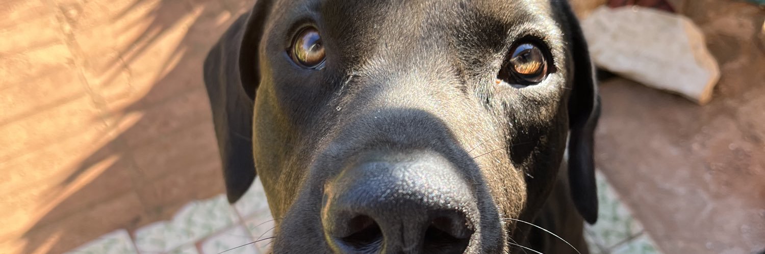 𝗝𝗲𝘀𝘀𝗶 𝗦𝗶𝗹𝘃𝗮 banner