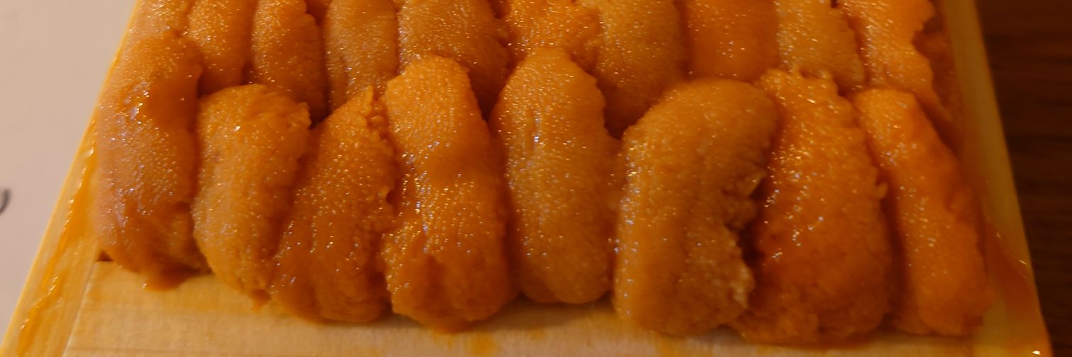 Yoshida Clione banner