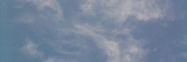 sharadsharma1 Profile Banner