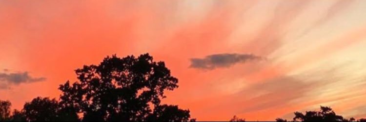 slowdpy's profile banner image