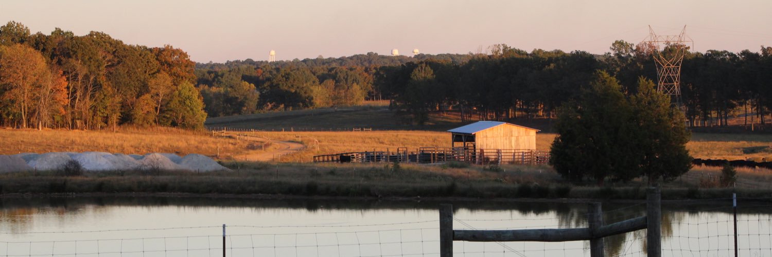 tyler_isbell's profile banner image