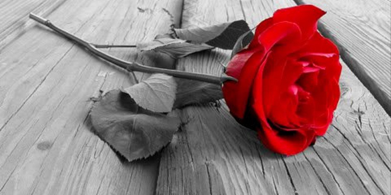 faraco_21's profile banner image