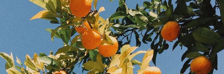 VRinaaaaaa's profile banner image