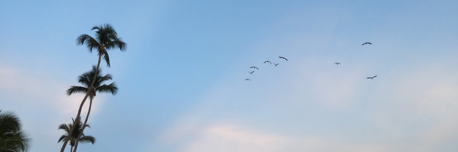 janmanuel4_'s profile banner image