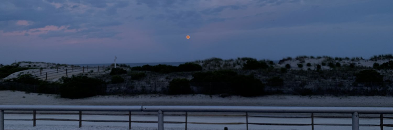 taylorcolgannn's profile banner image