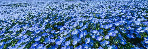 yu_una214 Profile Banner