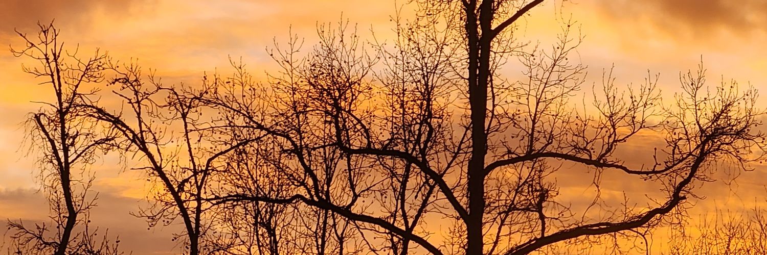 rickyd_69's profile banner image