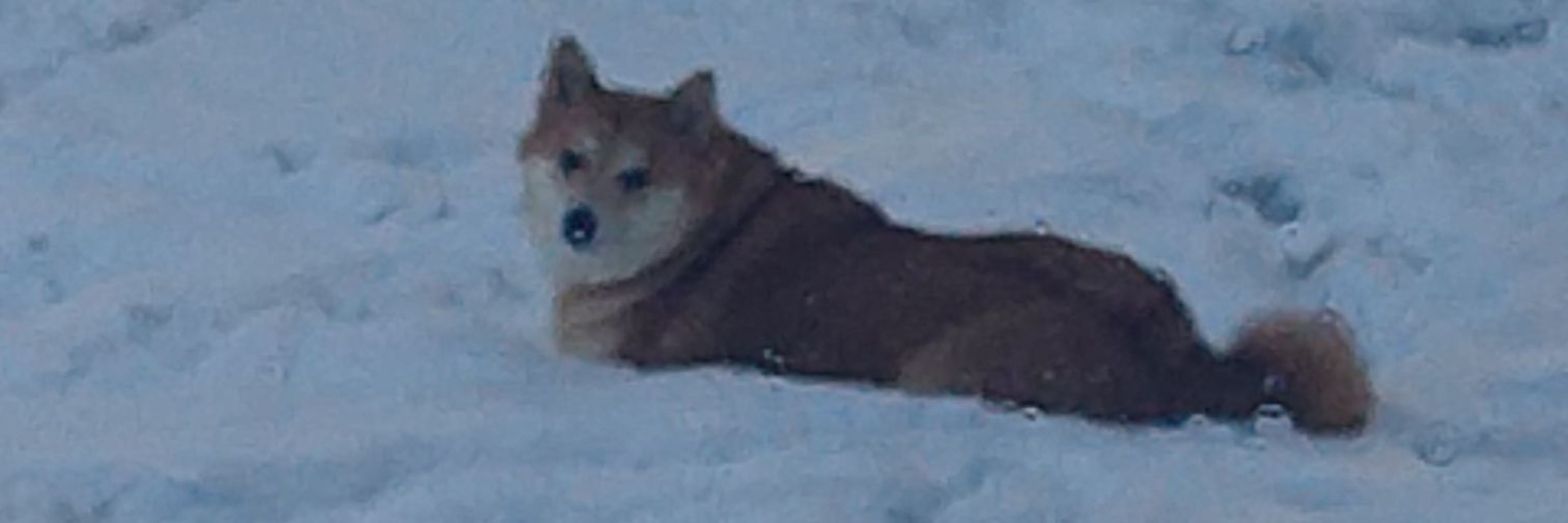 ZachSB1997's profile banner image