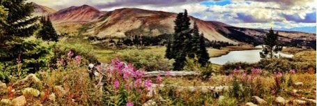 carlygorham's profile banner image