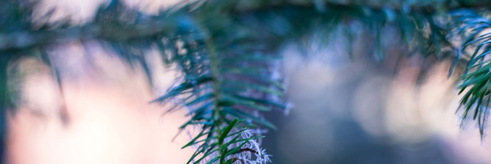 AnneKitel's profile banner image