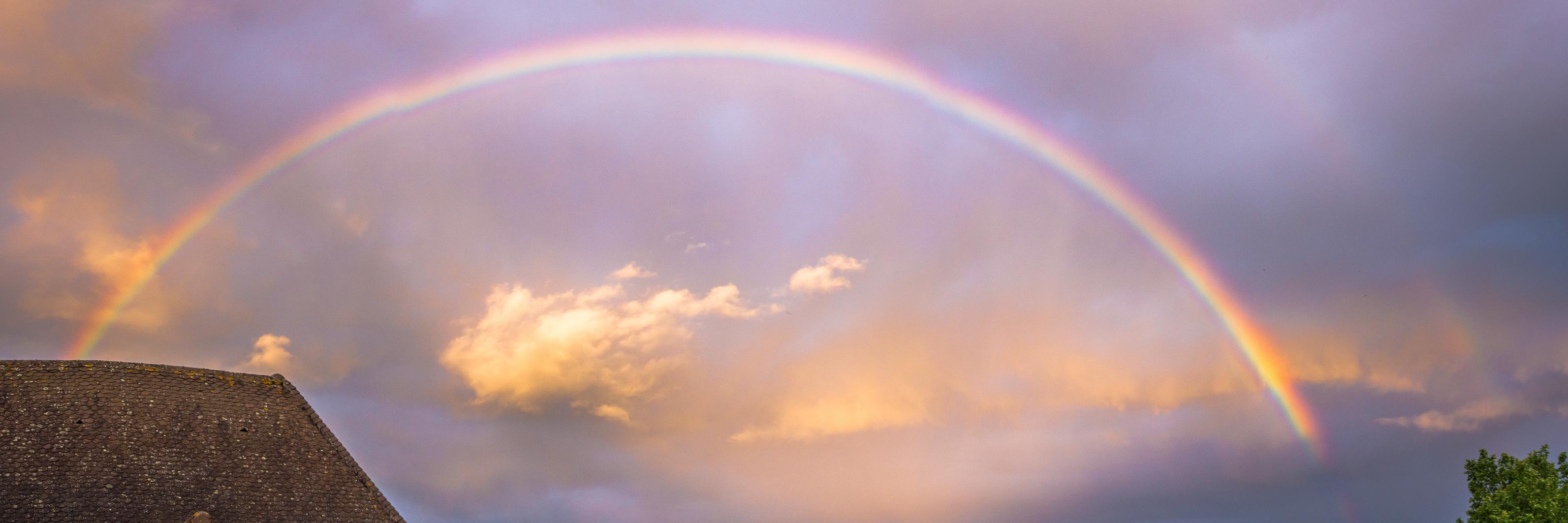 StephDionysso's profile banner image