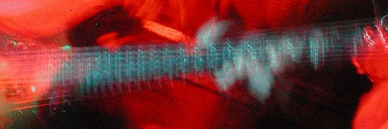 Falconetti banner