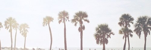 jennlouiseloves's profile banner image