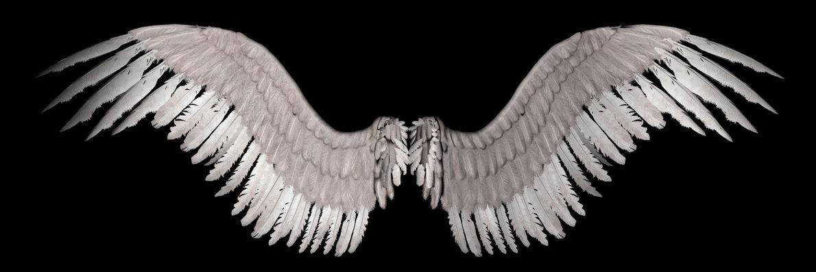 AngelWingsCandy's profile banner image