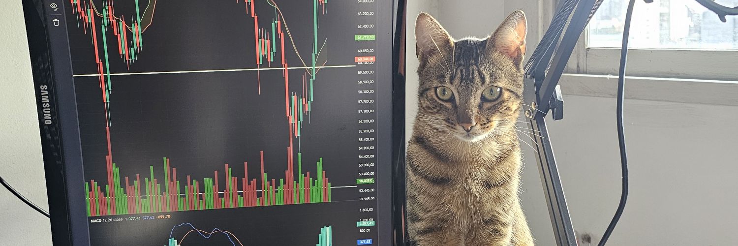 Decentralized07's profile banner image