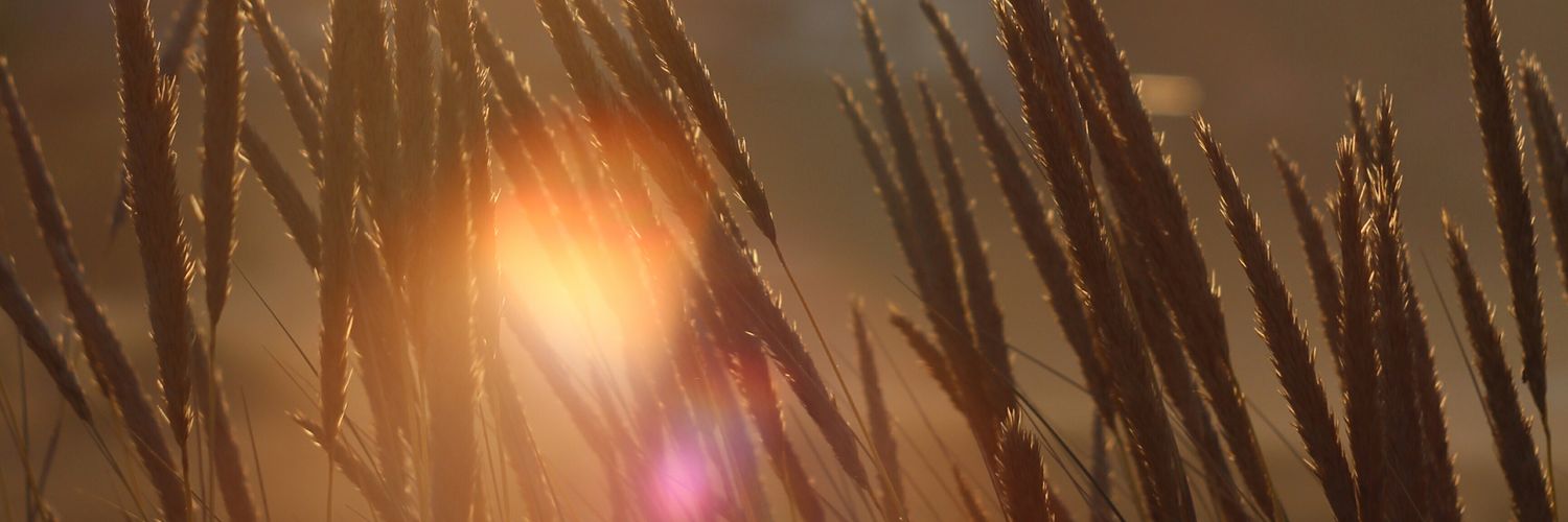 Atthram's profile banner image
