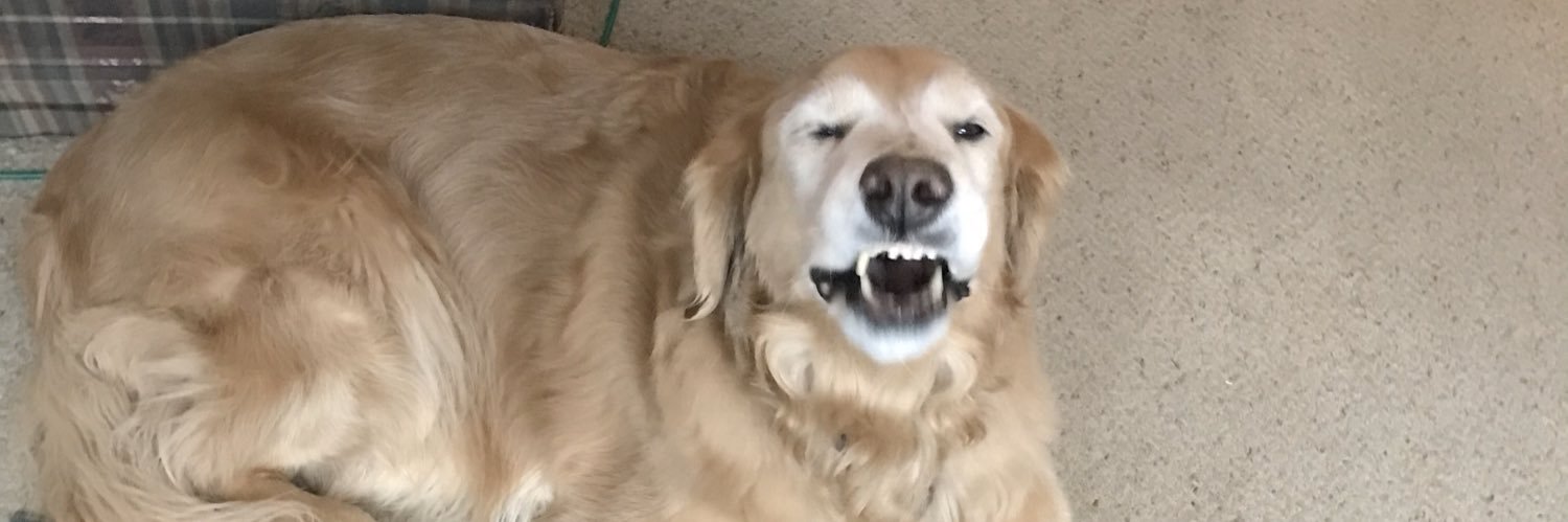 dlcameron's profile banner image