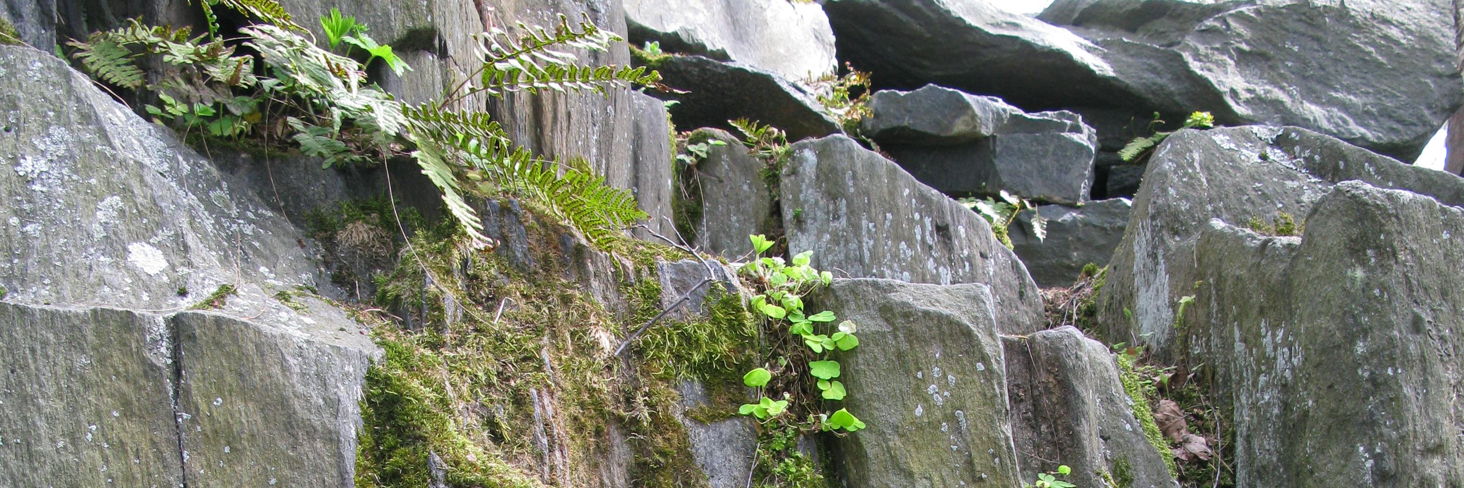 Minna Pekkonen banner