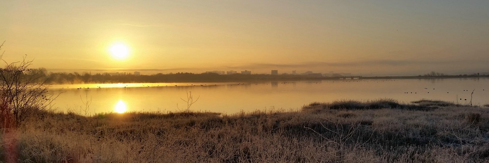 UptonCPark's profile banner image