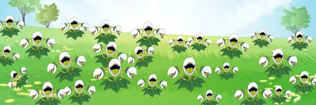 coreyDQMSL's profile banner image